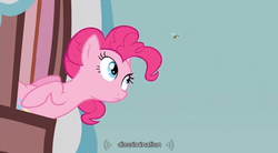 Size: 853x470 | Tagged: safe, screencap, pinkie pie, bee, g4, youtube caption