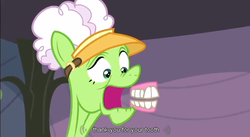 Size: 853x469 | Tagged: safe, screencap, auntie applesauce, apple family reunion, g4, my little pony: friendship is magic, elderly, female, mare, subtitles, teeth, youtube caption