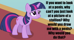 Size: 1100x600 | Tagged: safe, twilight sparkle, g4, caption, confused, meta, question, sad