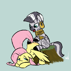 Size: 600x600 | Tagged: safe, artist:ponchuzn, fluttershy, zecora, pegasus, pony, zebra, g4, animated, butt, butt bongo fiesta, butt touch, drumming, face down ass up, female, floppy ears, gray background, hoof on butt, lesbian, looking down, mare, mare on mare, open mouth, plot, reddened butt, simple background, sitting, smiling, tree stump, zebra on pony action