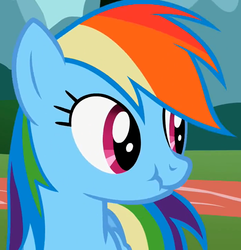 Size: 741x768 | Tagged: safe, screencap, rainbow dash, pegasus, pony, g4, may the best pet win, female, mare, scrunchy face, solo