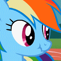 Size: 562x562 | Tagged: safe, rainbow dash, pegasus, pony, g4, may the best pet win, animated, female, mare, scrunchy face, vibrating
