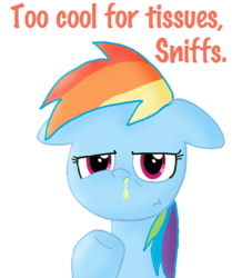 Size: 657x787 | Tagged: safe, artist:ajmstudios, rainbow dash, pony, g4, cool, cooler, female, meme, mucous, snot, solo, text