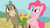 Size: 500x281 | Tagged: safe, screencap, cranky doodle donkey, pinkie pie, donkey, earth pony, pony, a friend in deed, g4, my little pony: friendship is magic, astartes pattern baldness, bipedal, duo, hoof hold, present, scrunchy face