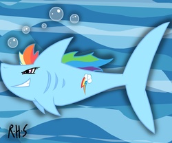 Size: 900x748 | Tagged: safe, artist:14dreamer, rainbow dash, shark, g4, rainbow shark, sharkified, species swap