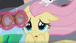 Size: 1140x640 | Tagged: safe, screencap, angel bunny, fluttershy, g4, hurricane fluttershy, crying, goggles