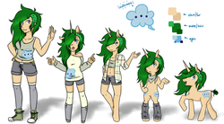 Size: 1024x564 | Tagged: safe, artist:twitchygreyfox, oc, oc only, oc:splendid sigh, human, pony, unicorn, anthro, semi-anthro, unguligrade anthro, anthro chart, anthro with ponies, bipedal, chart, clothes, human scalp on pony, humanized, line-up, reference sheet, undercut