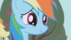 Size: 1280x720 | Tagged: safe, screencap, rainbow dash, g4, cute