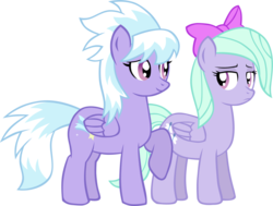 Size: 1028x777 | Tagged: safe, artist:ludiculouspegasus, cloudchaser, flitter, pegasus, pony, g4, duality, female, folded wings, mare, simple background, sisters, transparent background, wings