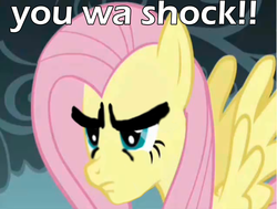 Size: 1015x766 | Tagged: safe, edit, fluttershy, g4, female, hokuto no ken, image macro, kenshiro, solo