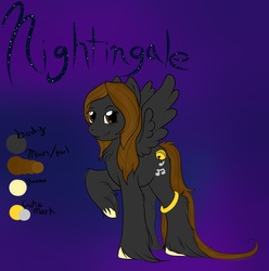 Size: 2376x2393 | Tagged: safe, artist:nekodorei, oc, oc only, oc:nightingale, bell, black, brown, cute, music notes, nekodorei, reference sheet, solo