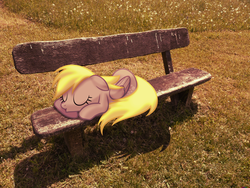 Size: 2560x1920 | Tagged: safe, artist:colorfulbrony, derpy hooves, pegasus, pony, g4, bench, female, irl, mare, photo, ponies in real life, recolor, shadow, sleeping, solo, vector