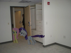 Size: 640x480 | Tagged: safe, artist:alleg1000, fluttershy, rarity, human, g4, door, irl, photo, ponies in real life, room, shelf, vector