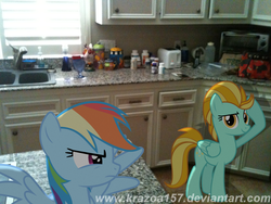 Size: 1280x960 | Tagged: safe, artist:krazoa157, lightning dust, rainbow dash, pegasus, pony, g4, female, irl, kitchen, mare, photo, ponies in real life, vector