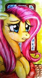 Size: 1025x1901 | Tagged: safe, artist:tomek2289, fluttershy, g4, crying, female, solo, traditional art