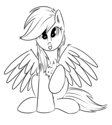 Size: 500x559 | Tagged: safe, artist:xioade, rainbow dash, g4, chest fluff, female, monochrome, solo