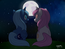 Size: 2000x1500 | Tagged: safe, artist:moozua, princess celestia, princess luna, alicorn, pony, g4, cewestia, comic, cute, duo, female, filly, grass, looking up, moon, night, royal sisters, siblings, sisters, smiling, woona