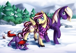 Size: 750x522 | Tagged: safe, artist:shinepawpony, oc, oc only, clothes, family, scarf, snow, winter