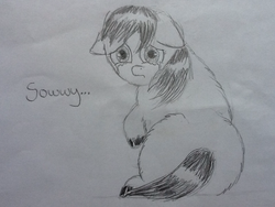 Size: 1024x768 | Tagged: safe, artist:waggytail, fluffy pony, crying, monochrome, sad, solo, sorry, traditional art