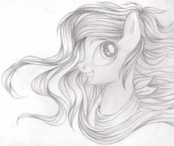 Size: 4628x3880 | Tagged: safe, artist:vird-gi, oc, oc only, pony, female, mare, smiling, solo, traditional art