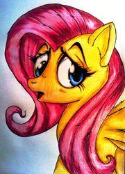 Size: 1370x1906 | Tagged: safe, artist:tomek2289, fluttershy, g4, female, solo, traditional art