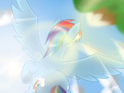 Size: 1024x768 | Tagged: safe, artist:gimmogear, rainbow dash, g4, female, flying, lens flare, solo, upside down, vertigo