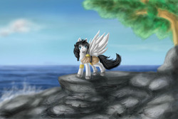 Size: 1500x1000 | Tagged: safe, artist:aschenstern, oc, oc only, oc:dionis, pegasus, pony, clothes, male, solo, stallion, tree, water