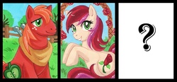 Size: 836x389 | Tagged: safe, artist:aiko-mustang, big macintosh, roseluck, earth pony, pony, g4, male, stallion, traditional art