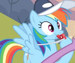Size: 640x540 | Tagged: safe, screencap, rainbow dash, spike, dragon, pegasus, pony, g4, hurricane fluttershy, arm, blowing, blowing whistle, cap, claw, coach, coach rainbow dash, coaching cap, cropped, female, hat, mare, puffy cheeks, rainblow dash, rainbow dashs coaching whistle, sports, spread wings, that pony sure does love whistles, tornado, trainer, training, whistle, whistle necklace, wings