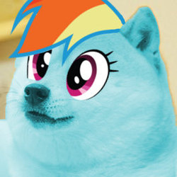 Size: 264x264 | Tagged: safe, edit, rainbow dash, g4, /mlp/, 4chan, dashe, doge, female, funny, meme, solo, wat