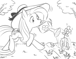 Size: 1280x989 | Tagged: safe, artist:megasweet, angel bunny, fluttershy, g4, garden, gardening, grayscale, hat, monochrome, mouth hold, watering, wet