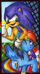 Size: 416x768 | Tagged: safe, artist:antych, rainbow dash, g4, crossover, male, sonic the hedgehog, sonic the hedgehog (series), traditional art