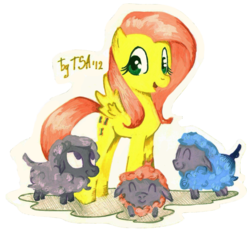 Size: 800x741 | Tagged: safe, artist:antych, fluttershy, sheep, g4