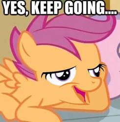 Size: 374x381 | Tagged: safe, scootaloo, g4, chickun, exploitable meme, female, filly, foal, head on hoof, lying down, meme, prone