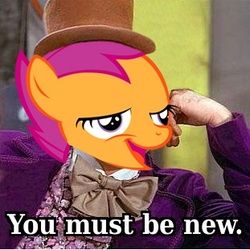 Size: 311x311 | Tagged: safe, scootaloo, g4, chickun, exploitable meme, meme