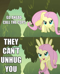 Size: 1428x1760 | Tagged: safe, screencap, fluttershy, g4, bronybait, call the cops, caption, evil smile, grin, hape, imma snuggle you, imminent hape, implied hugging, incoming hug, pure unfiltered evil, text, this will end in jail time