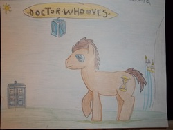 Size: 2048x1536 | Tagged: safe, doctor whooves, time turner, g4, tardis