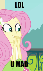 Size: 386x632 | Tagged: safe, fluttershy, equestria girls, g4, female, image macro, solo