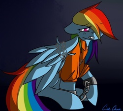 Size: 541x486 | Tagged: dead source, safe, artist:roxsasdoll, rainbow dash, pegasus, pony, g4, clothes, commission, commissioner:rainbowdash69, female, mare, never doubt rainbowdash69's involvement, prison, prison outfit, prisoner rd, solo