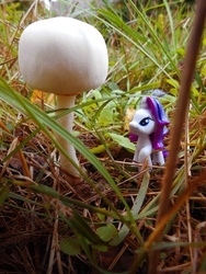 Size: 1102x1469 | Tagged: safe, artist:synch-anon, rarity, g4, autumn, blind bag, grass, irl, mushroom, photo, toy