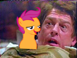 Size: 272x204 | Tagged: safe, scootaloo, human, g4, alien (franchise), chestburster, chickun, exploitable meme, irl, irl human, john hurt, male, meme, photo, spaceballs the tag