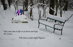 Size: 1600x1046 | Tagged: safe, artist:bryal, artist:dentist73548, edit, twilight sparkle, g4, bench, irl, photo, ponies in real life, snow, solo, text, winter