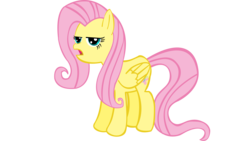 Size: 1920x1080 | Tagged: safe, artist:videogamehunter, fluttershy, g4, female, reaction image, really reaction, solo
