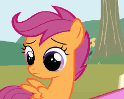 Size: 706x567 | Tagged: safe, screencap, scootaloo, sweetie belle, pegasus, pony, unicorn, g4, the show stoppers, :p, animated, blowing, cropped, cute, female, floppy ears, raspberry, tongue out