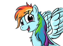 Size: 1900x1400 | Tagged: safe, artist:whiro153, rainbow dash, pony, g4, chest fluff, female, fluffy, looking at you, messy mane, open mouth, portrait, simple background, smiling, solo, spread wings, transparent background