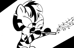 Size: 1920x1260 | Tagged: safe, artist:cosmonaut, oc, oc only, oc:samoa, zebra, belly button, female, filly, flute, monochrome, music, musical instrument, solo, zebra oc