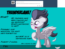 Size: 1280x974 | Tagged: safe, artist:cosmonaut, rumble, thunderlane, lets ask rumble, g4, ask, feather, feather flu, growth, male, molting, puberty, solo, this will end in tears, tumblr, worried