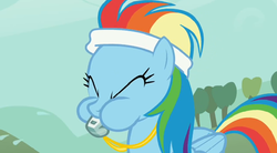 Size: 1021x563 | Tagged: safe, screencap, rainbow dash, call of the cutie, g4, blowing, coach, female, headband, solo, spit, spitting, sports, sweatband, training, whistle