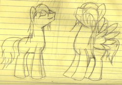 Size: 960x667 | Tagged: safe, artist:shrusxaiken, oc, oc only, oc:shrus, oc:xai, pony, duo, eyes closed, lined paper, sketch, traditional art, wet mane