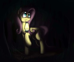 Size: 3097x2609 | Tagged: safe, artist:otakuap, fluttershy, g4, dark, female, forest, glowing, lamp, mouth hold, solo